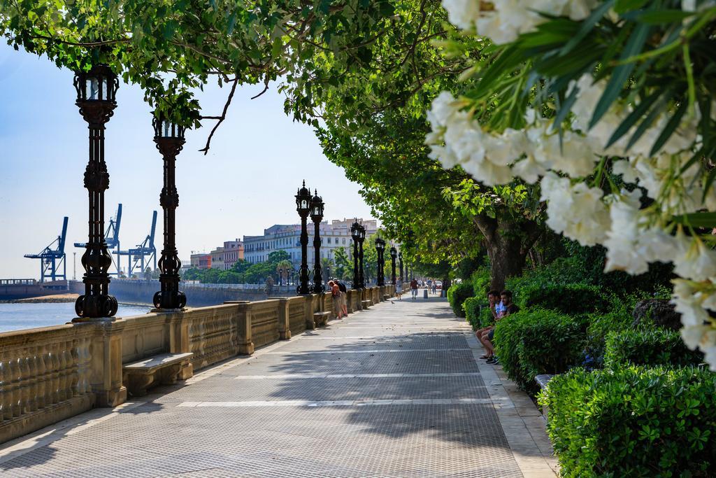 El Atico Del Marques Free Parking By Cadiz4Rentals エクステリア 写真